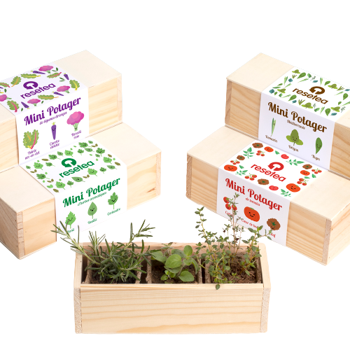 Mini kit plantation trèfle : Kits potagers prêts-à-l'emploi RADIS ET  CAPUCINE potager et verger - botanic®
