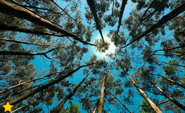 BIOM Paris se lance dans une nouvelle aventure éco-responsable !