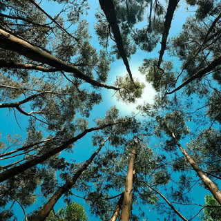 BIOM Paris se lance dans une nouvelle aventure éco-responsable !