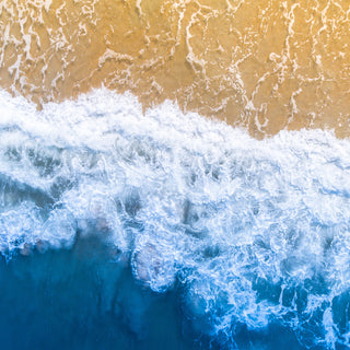La mer et les océans synonymes de vacances, mais cela va bien au delà de ça!