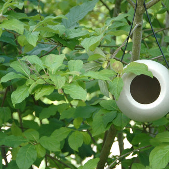 Lisa - Mangeoire éco-responsable pour oiseaux - Mangeoire à oiseaux