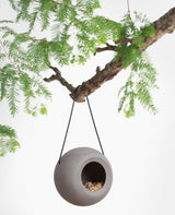 Lisa - Mangeoire éco-responsable pour oiseaux - Mangeoire à oiseaux