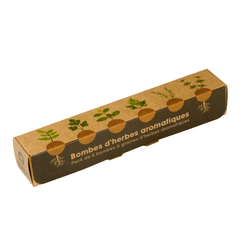 Packs de 6 Bombes : Fleurs ou Aromatiques