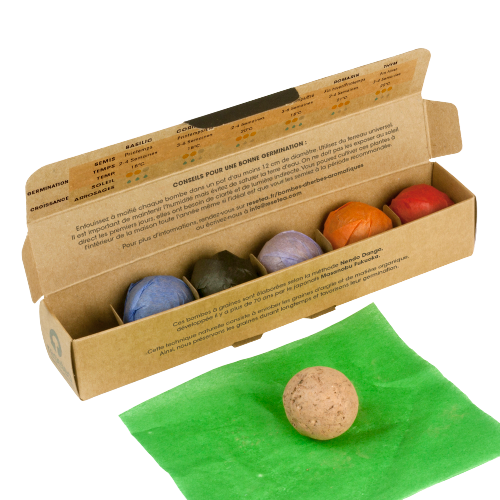 Packs de 6 Bombes : Fleurs ou Aromatiques