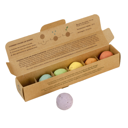 Packs de 6 Bombes : Fleurs ou Aromatiques