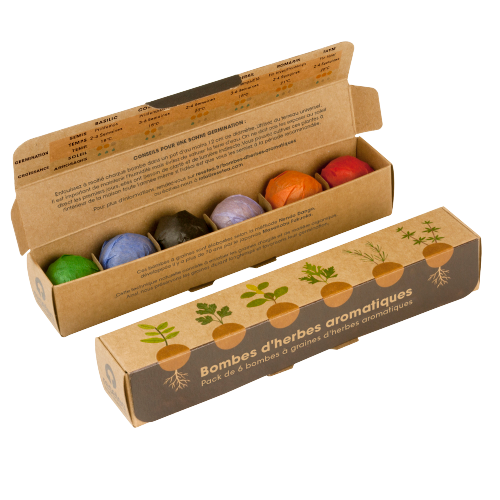 Packs de 6 Bombes : Fleurs ou Aromatiques
