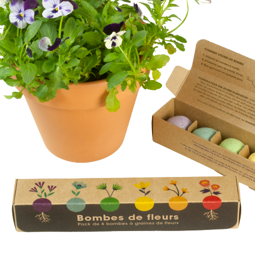 Packs de 6 Bombes : Fleurs ou Aromatiques