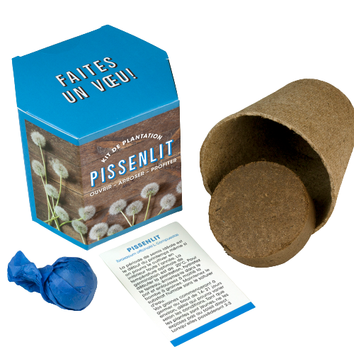 Kit de plantation