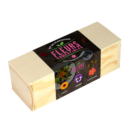 Kit de plantation culinaire