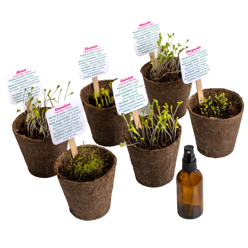 Kit de Plantation de Fleurs - Flower Power