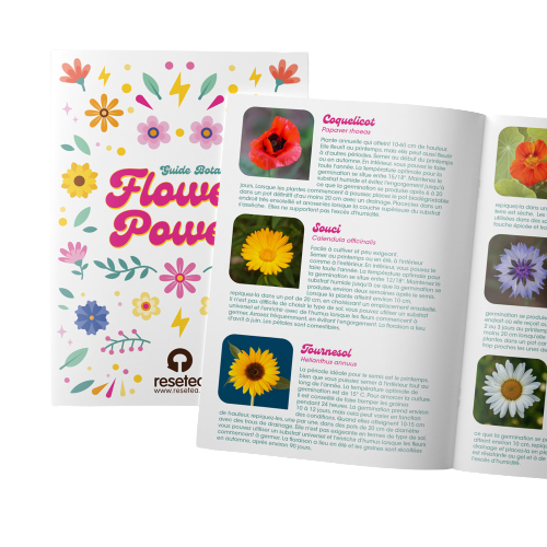 Kit de Plantation de Fleurs - Flower Power