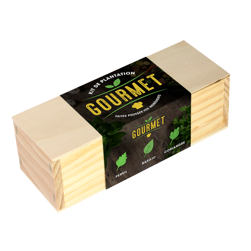 Kit de plantation culinaire