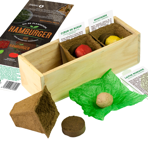 Kit de plantation culinaire