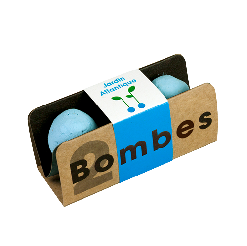 Bombes de biodiversité - Bombes de graines