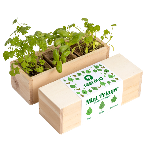 Kit de plantation - Mini Potager