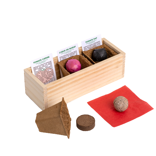 Kit de plantation - Mini Potager