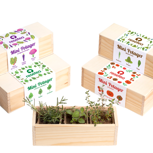 Kit de plantation - Mini Potager