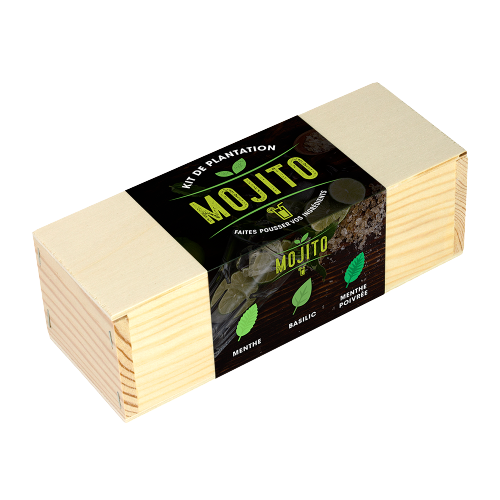 Kit de plantation culinaire