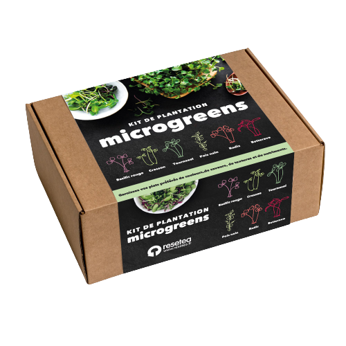 Micropousses Kit de Plantation - MICROGREENS